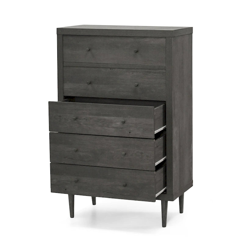 Kommode im Mid-Century-Stil mit 5 Schubladen