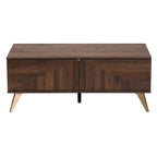 Moderner Walnussbrauner Couchtisch im Mid-Century-Stil mit 2 Schubladen