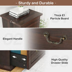 4-Drawer Vertical File Cabinet with Adjustable Hanging Rod for A4 and Letter Size